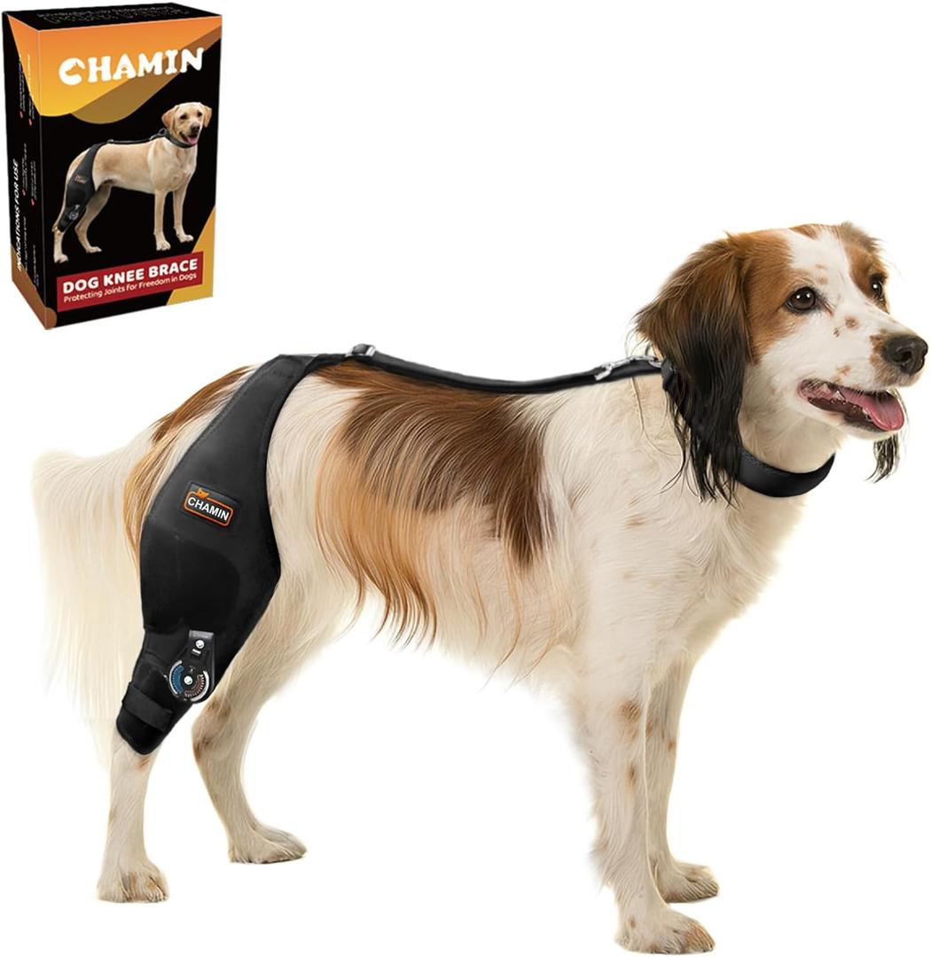 CHAMIN Adjustable Dog Knee Brace for Torn ACL Hind Leg, Support for Tear Ligament, Osteoarthritis, Rear Leg Limp, Recovery After Surgery,et(Right Leg,L)