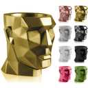 2 x CONCRETTE Apollo Head Planter, Unique Novelty Flower Pot, Sculpture, Home or Garden Decor, Indoor/Outdoor (Classic Gold)