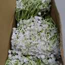 150 Pcs Babys Breath Artificial Flowers,White Baby Breath Flowers Artificial BulkReal Touch Faux Flowers Gypsophila for Wedding Party Bouquet Floral Arrangement Home Decor