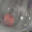 Munchkin Any Angle Weighted Toddler Straw Cups with Click Lock Lid, 10 Ounce, 2 Pack, Pink/Purple