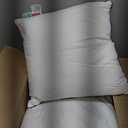 Feather Down 20x20 Pillow Insert Set of 2 with 100% Down-Proof Cotton Cover, Soft Fluffy Decorative Pillow for Sofa Bed Couch Living Room White