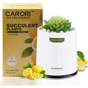 2 x Artificial Succulent Plants with Subtle Lemon Scent, Faux Indoor Plants for Home Decor, Small Fake Plant for Bathroom, Bedroom, Office Decor, Aesthetic Room Accessories, Housewarming Gift