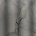 ZESICA Women's 2026 Summer Bohemian Strapless Off Shoulder Lace Trim Backless Flowy A Line Beach Long Maxi Dress (Medium, White)