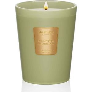 M&SENSE Eucalyptus Cedarwood Scented Natural Soy Wax Candle, 14.1oz 60 Hours Long Lasting Slow Burning, Aromatherapy Candle for Stress Relief Home Decor