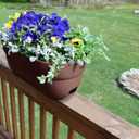 Emsco Group Bloomers Railing Planter with Drainage Holes 24" Weatherproof Resin Planter Brown, Plastic