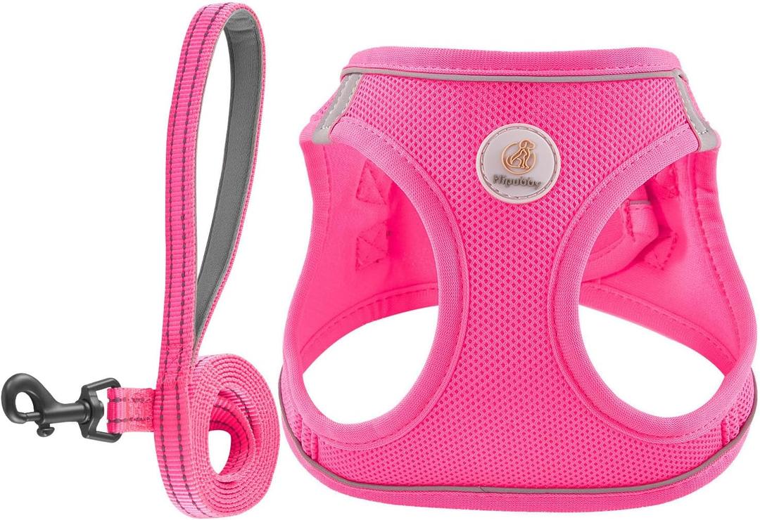 Hipubby Dog Harness and Leash Set, No Pull Soft Mesh Puppy Harness for Small Medium Dogs, Cats - Step in Reflective Breathable Lightweight Vest Harness for Walking, Training - Rose Red, XXS 