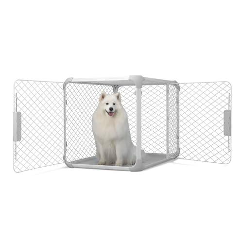 DIGGS Evolv Dog Crate - Slim, Durable Dog Kennel with Removable Ceiling Panel and Modular Design - Safe, Stylish, Convenient (Ash, Large)