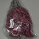 Hananona 10 Pcs Babys Breath Artificial Gypsophila Flowers Halloween Fake Silk Flowers for Home Decor Floral Arrangement Table Centerpieces (10, Burgundy)