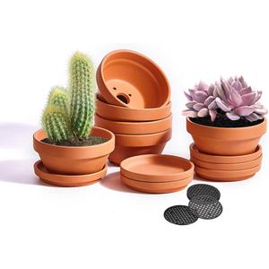 5 Inch Shallow Terracotta Pot for Succulent - 6 Pcs Small Shallow Plant Pots with Drainage Hole and Saucer Mesh Pad, Clay Plant Pottery Pots for Cactus Succulent and Other Indoor Outdoor Plants