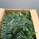 Outdoor Fake Hanging Fern Artificial Hanging Ferns 2 Pack, Large Faux Boston Fern Bushes, UV Resistant Outdoor Hanging Plants for Front Porch, Patio & Indoor Decor
