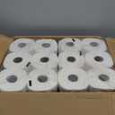 Angel Soft Toilet Paper, 48 Mega Rolls = 192 Regular Rolls, Soft and Strong Toilet Tissue (15360 sheet (Pack of 1))