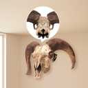 2 x 2 PCS Medium Hooker Trophy Mount | 5-Level Angle Adjustment | Concealed Screw Mounting | Screws Included