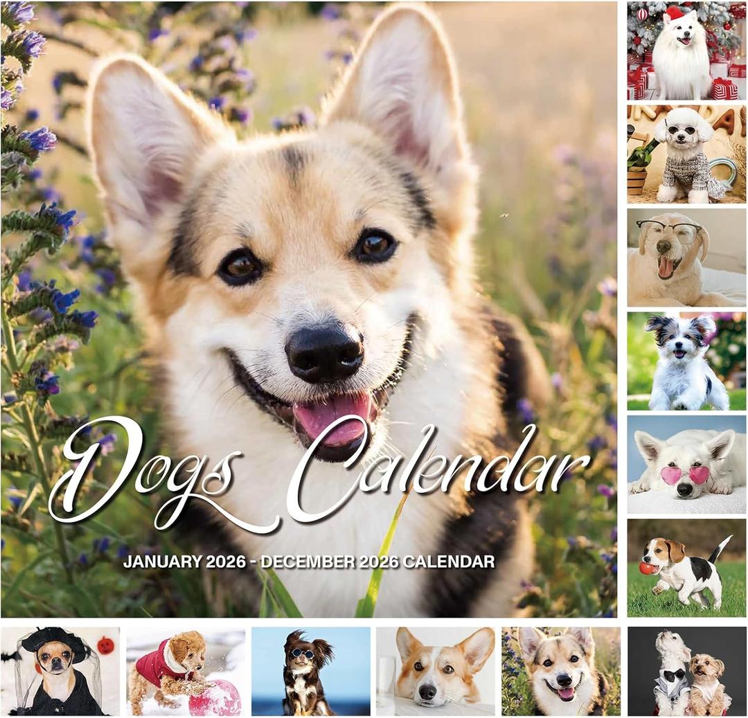 4 x 2026 Wall Calendar - Calendar 2026: January 2026 - December 2026, 12" x 24" (Opened), Full Page Monthly View, Thick & Sturdy Paper for Gift, Perfect Calendar Organizing & Planning - Dogs Theme (Green)