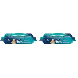 Charmin Flushable Wipes, 40 Flushable Wipes Per Pack (Pack of 2)