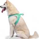 The Dodo Green Dog Harness, Size Small; Easy Step-in Harness for Dogs; Breathable Mesh Fabric; Snap-Together, Pinch Release Buckle, Ring for Leash Attachment; Everyday Pet Apparel