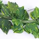 12 Pack Artificial Ivy Leaves Fake Vines Hanging Rattan Garland Epipremnum Aureum Leaves Plant Vine Decor for Home Kitchen Garden Office Wedding Wall (Epipremnum Aureum Vine-2m)