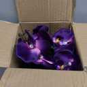 15" Tall Artificial Silk Phalaenopsis Orchid Flower Plant Pot Arrangements (Dark Purple)