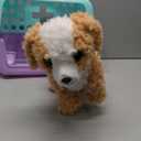 Little Live Pets Ouchies Hazel The Poodle Plush, 50+ Sounds, Limping to Walking Puppy Toy & Carrier, Interactive Toy Dog for Kids 5+