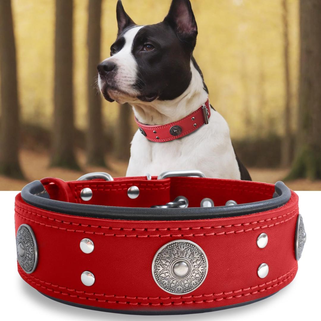 Leather Dog Collar, 2 inches Wide Heavy Duty Genuine Leather Collars, Handmade, Soft, and Luxury, Eye-catching Best Choice for Large and Medium Breed Dogs, Red 18.5-22.5 in