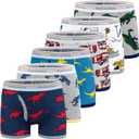 BOOPH Boys Boxer Briefs Shorts Dinosaur Toddler Underwear for 9-10 Years G-6Pack