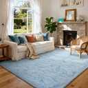 4x6 Ft Shag Rugs for Bedroom Living Room, Ultra Soft Fluffy Furry Area Rugs for Indoor Floor, Aesthetic Carpet for Kids Home Decor (Light Blue)