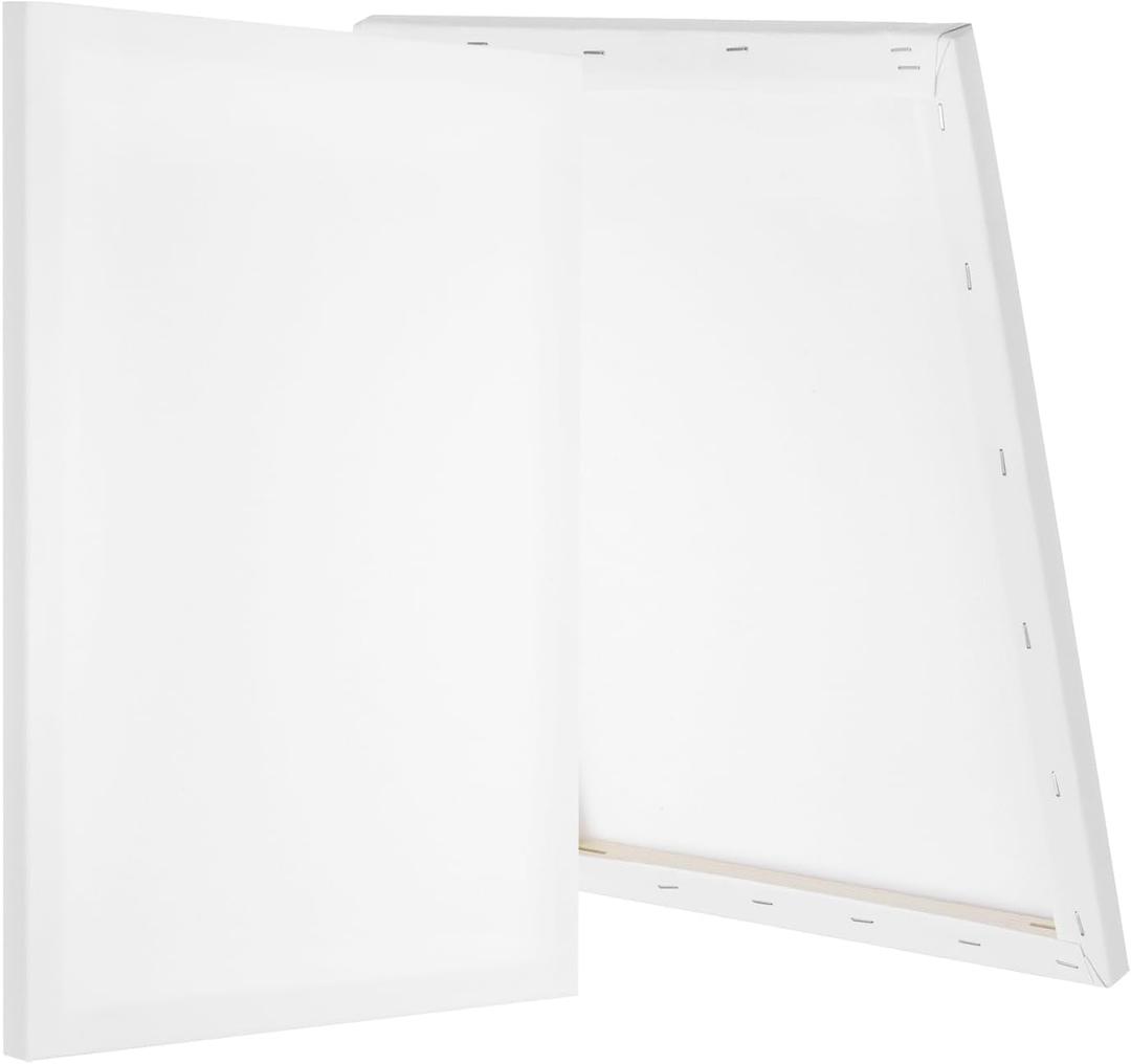 PATIKIL Stretched Canvas, 2 Pcs 24" x 16" Rectangle Canvas for Painting Blank Primed Canvas Cotton Canvas Panels for Acrylics Oil Watercolor Paints, White