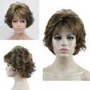 Aimole Short Curly Synthetic Wigs Full Capless Hair Women's Thick Wig for Everyday 12TT26 (Light Reddish Golden Brown with Bright Golden Blonde Highlighted)