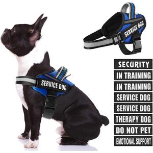 Dog Vest Harness and Patches Set, Animire in Training Service Dog Harness with 10 Dog Patches, Reflective Dog Vest with Handle for Dogs (Blue, Medium)