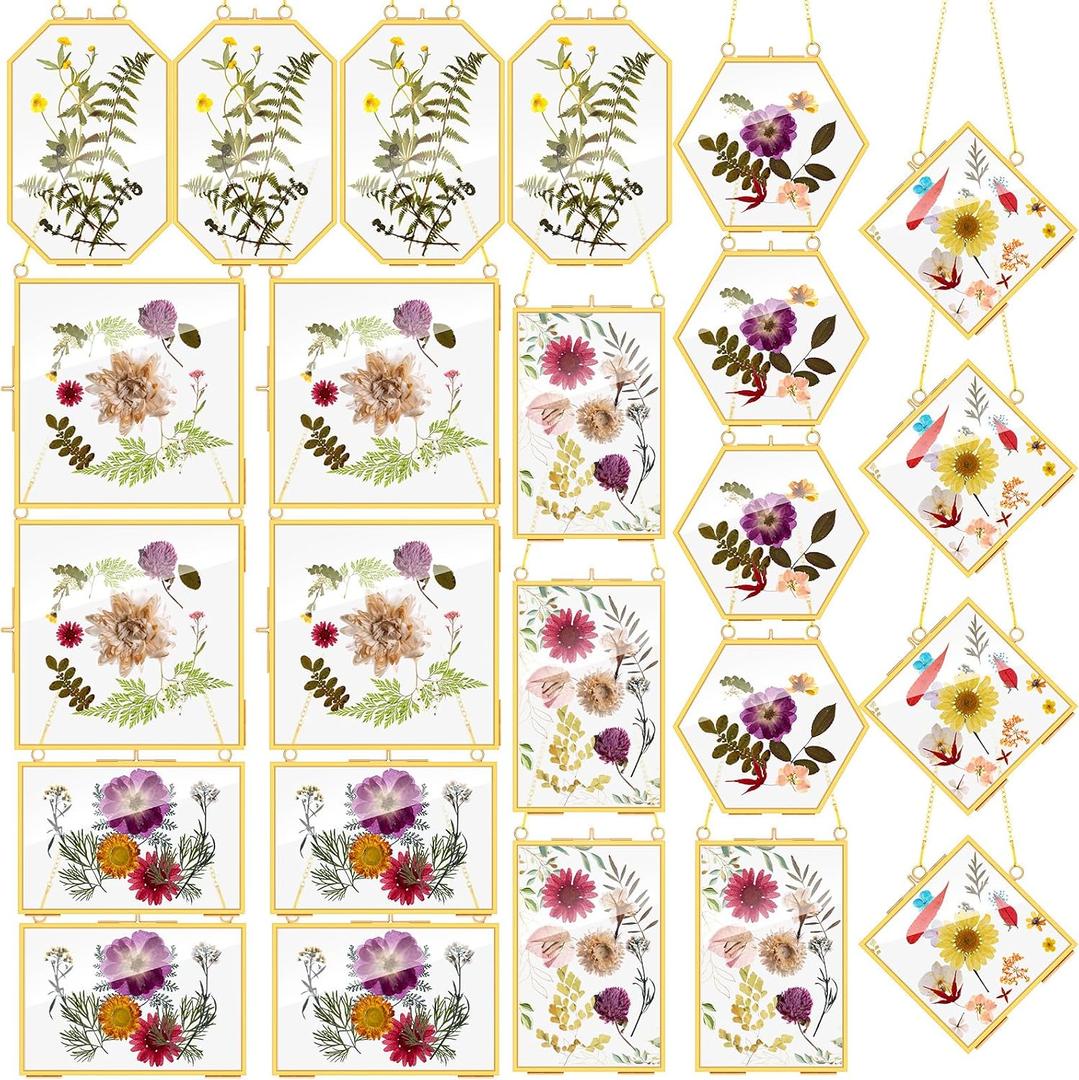 Soaoo 24 Pcs Brass Glass Frames for Pressed Flowers Wall, 6 Shapes, Gold, 4.1 x 6.1 inches
