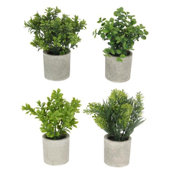 Greenery In Pot - 22cm
