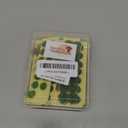 Warmtree 126 Pcs Static Grass Bushy Tufts Lowland Shrubs Tuft Terrain Model Kit for Train Landscape Railroad Scenery Sand Military Layout Model Miniature Bases and Dioramas