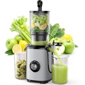 NEWBULIG Cold Press Juicer Machines, Masticating Juicer with High Juice Yield, Reverse Function, Stops Oxidation and Easy to Clean for Vegetables & Fruits, Silver