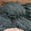5ft Tall Spiral Topiary Trees Artificial Outdoor Set of 2