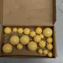 ASTARON Pack of 20 Cake Decoration Balls Cake Toppers, Mini Balloons Cake Toppers for Wedding Party Baby Shower Birthday Cake Decorating (Yellow)