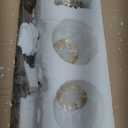 2-Light Globe White Glass Pendant Light, White Glass Ball & Brass Gold Matel Hanging Lamp Chandelier Ceiling Light White & Gold, shuzhi-2 (2-Light)