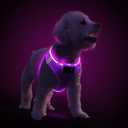PceoTllar Light Up Dog Harness, LED No Pull Reflective Dog Harness, Flashing Lighted for Night Walking - (Purple,XS)