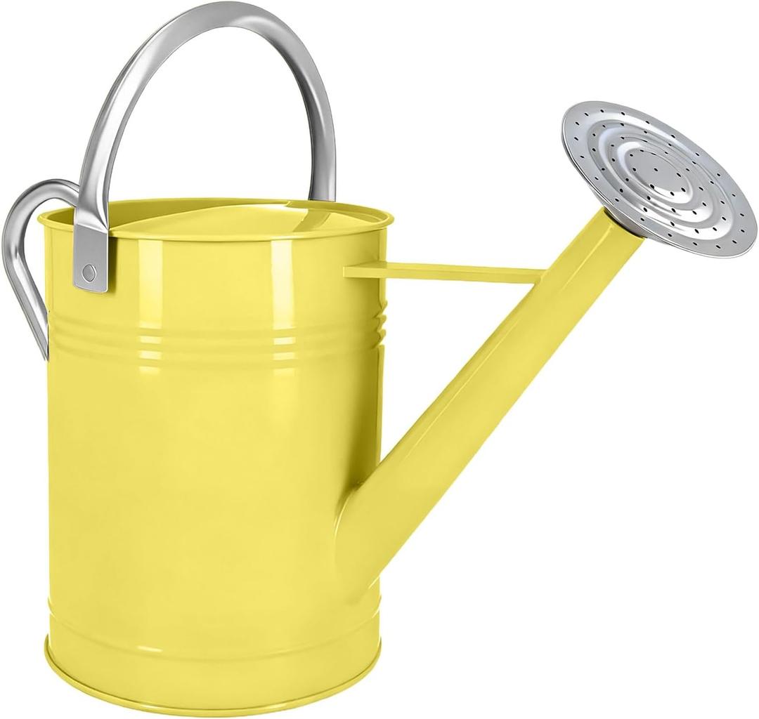 Galvanized Iron Watering Can for Indoor Plants, DIY Watering Cans for House Plant Garden Flower, Long Spout Water Can for Outdoor Watering Plants 6.44L 1.7Gallon (Beige)