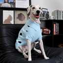 Kuoser XS Dog Sweater for Teacup Puppies | Foldable High Neck Warm Chihuahua on Morning Walks, Snuggly Knit with Easy-On Sleeve Holes, Blue XS (XS (Chest: 11.8'' / 30cm))