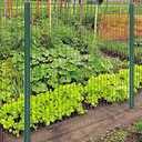6 Feet Sturdy Duty Metal Fence Post Garden U Post for Fencing - 10 Pack