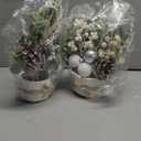 JJIALEIXI 2PCS Small Christmas Tree,11" Artificial Little Potted Mini Tabletop Tree Christmas Decorations, for Wedding Holiday Indoor Xmas Party Winter Decor (White/Green/Silver).