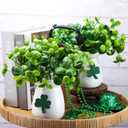 Maxcheck 2 Pack St. Patricks Day Shamrock Vase Large Artificial Clover Plants Live in Pots St. Patricks Plants Vase Gift for Irish Party Tiered Tray Decoration
