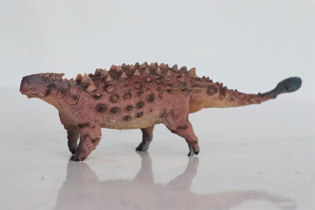 Scale Saichania Model Dinosaur Collection Home Decor Gift 