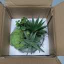 Hollyone Fake Plants Artificial Succulents in Pots Faux Succulent Arrangement Potted Plant with White Ceramic Pot for Home Decor Modern Office Desk Bathroom Shelf Living Room Indoor Decoration