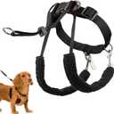 Sporn Original Dog Halter, No Pull Dog Harness, Durable Nylon Collar with Padded Restraint Sleeves for Small Breeds, No Choke Design, Adjustable Fit, Easy On/Off, Black, Small