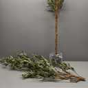 Faux Olive Tree 6ftOlive Trees Artificial Indoor with Natural Wood Trunk and Realistic Leaves and Fruits. 6 Feet(72in) Fake Olive Tree for Home House Office Dcor.
