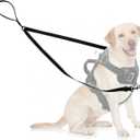 Two Point Control Dog Leash Soft Padded and Reflective Nylon Walking Lead No Tangle Training Leashes Converts to Single Lead Works with No Pull Harnesses for Medium Large Dogs (Black)