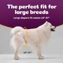 Inspire Pet Care Dog Diapers Female Dogs | Bulk Value Doggie Incontinence, Accidents, for Heat, Pee or Period and Housebreaking (Large (30 Count))