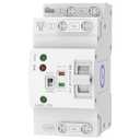 Mini Automatic Transfer Switch 2P 63A 110V,ATS Automatic/Manual DIN Rail Mount Dual Power Transfer Switch for Home Generator, RVPublic/Backup Power Supply