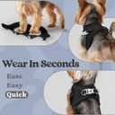 rabbitgoo Small Dog Harness, Step-in Soft Mesh Puppy Vest with Safety Buckle, Breathable Reflective Pet Harness for Small Sized Dogs, Black XS