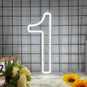 Number 1 Neon sign, One Led sign for First Birthday, 1st Birthday Neon Light for Bedroom, Kids Room, USB Powered Light Up Neon Signs for Party Decor